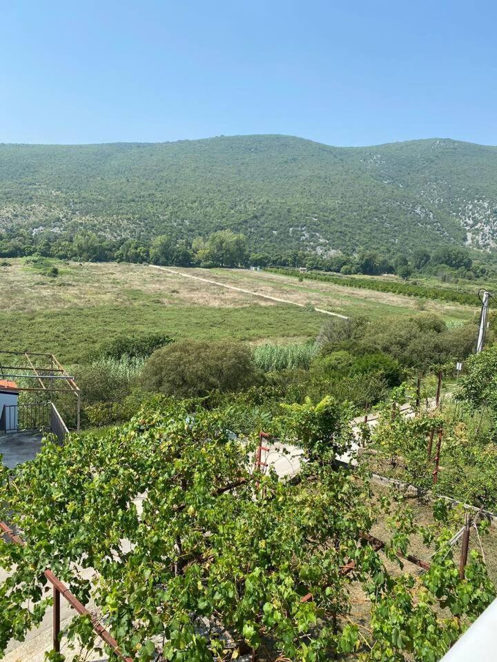Apartment Angelina كابليينا المظهر الخارجي الصورة